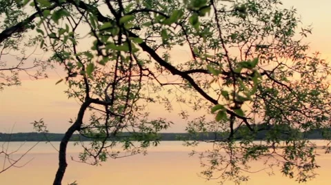 Camera pan of tree branch and sunset over the lake Stock-Footage 58822867