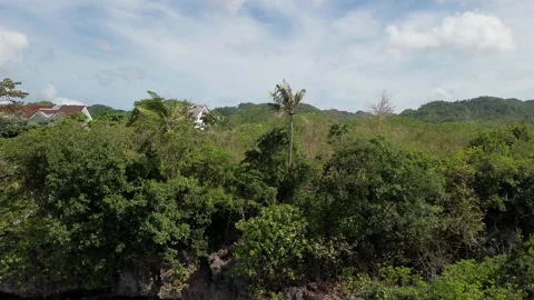 Camera pan view over a private resort in Anda Bohol Phils. Stock Footage 278783890