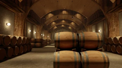 Camera Paning on a Winery Warehouse - Video 2 Stock Footage 46421814