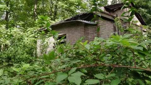 Camera panning abandoned brick building overgrown greenery Stock Footage 292528769