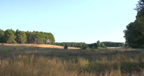 Camera panning across a rural Spanish landscape at sunset Vídeo Stock 344147124