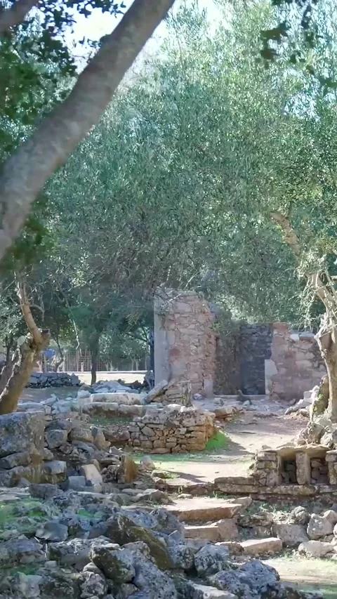 Camera panning ancient ruins with olive trees Stock Footage 294963978