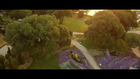 Camera panning and tilting up away from flower garden towards modern highrise Stockbeeldmateriaal 80745632