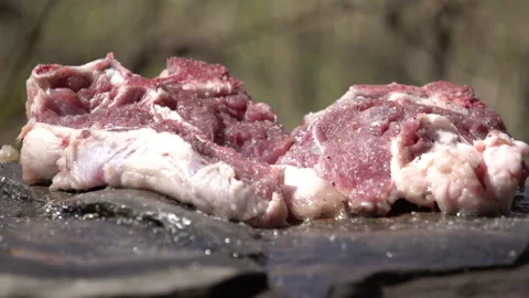 Camera Panning from Campfire to Steaks Cooking on Stone 動画素材 317885322