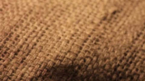 Camera panning onto a hand lifting coffee beans Vidéo 33216486