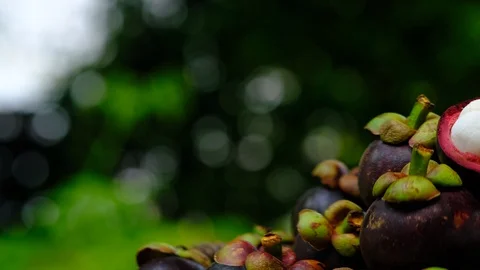 Camera panning of mangosteen Stock Footage 129553745