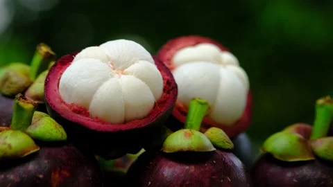Camera panning of mangosteen Stock Footage 139096261