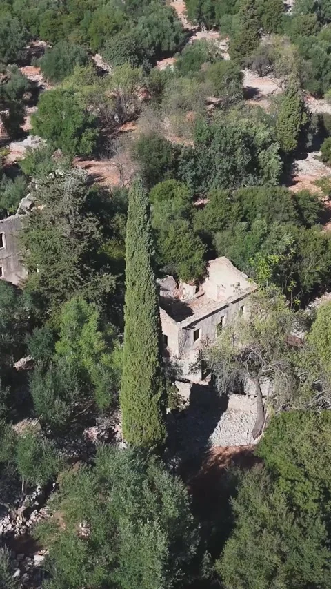 Camera panning over abandoned stone houses in forest Stock Footage 290449679