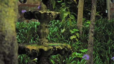 Camera panning over ancient stone fountain covered in moss Stock Footage 293158926