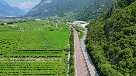 Camera panning over beautiful green italian vineyard Stock Footage 285085595
