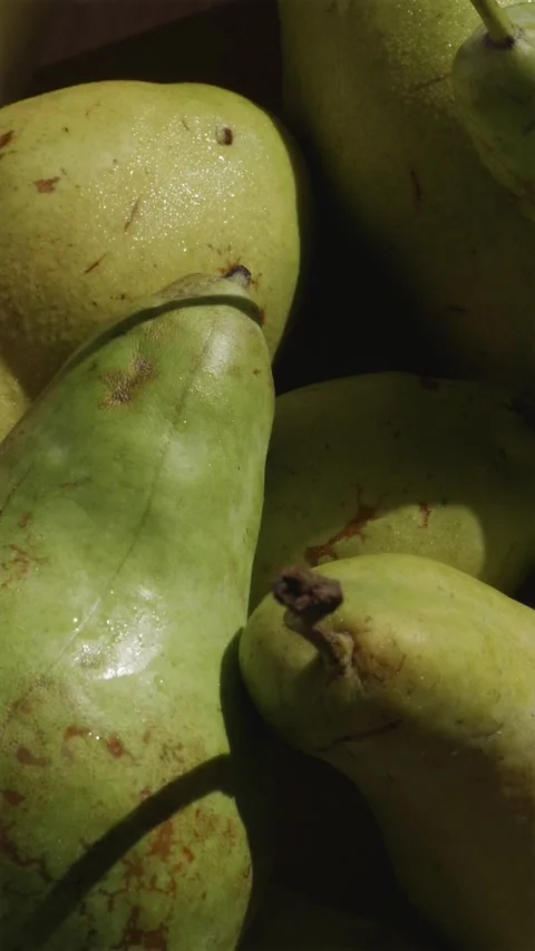 Camera panning over fresh green pears covered in dew drops under sunlight Stock-Footage 346903337