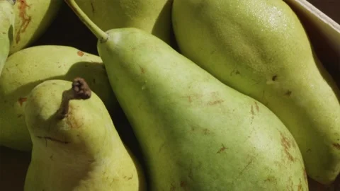Camera panning over fresh pears covered in morning dew drops Vidéo 346903350
