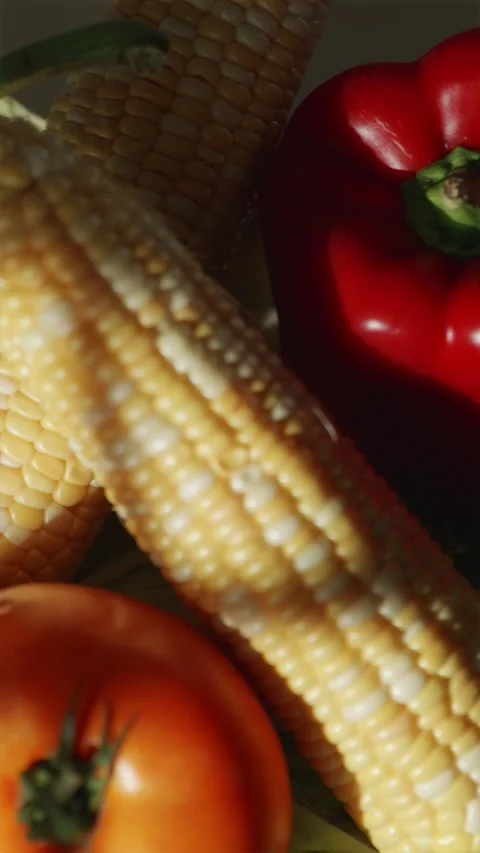 Camera panning over fresh summer vegetables corn eggplant peppers Video stock 343403356