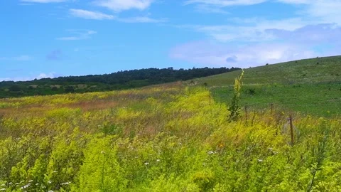 Camera panning over green meadows, blue sky Video stock 142085016