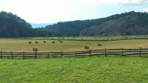 Camera panning over hay bales in green field Vídeo Stock 311021971