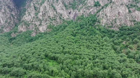 Camera panning over lush green forest in mountain valley Stockbeeldmateriaal 289640203