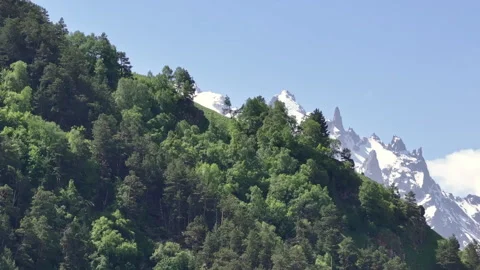 Camera panning over lush green mountainside Stock-Footage 289673876