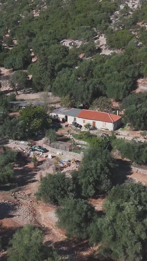 Camera panning over olive grove revealing farm house Video stock 290451168