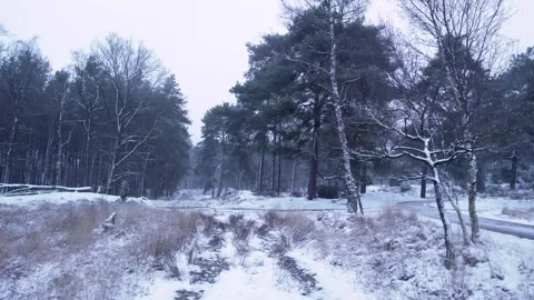 Camera panning over snow covered path leading through forest Stock Footage 292924608