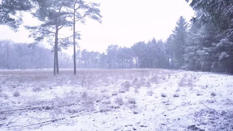 Camera panning over snowy field and forest Stock Footage 292924585