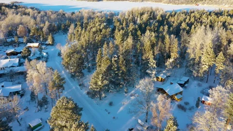 Camera panning over snowy pine forest surrounding frozen lake, aerial view Stock Footage 289005429