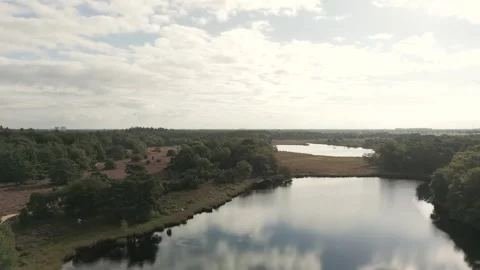 Camera panning over tranquil lake and lush forest Stock Footage 293158309