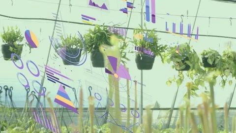 Camera panning right, pots shifting, data graphics overlaying plants and Stock Footage 333035385