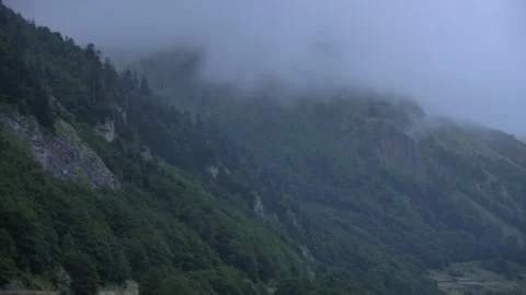 Camera panning shot of fog rolling over trees in a mountainous region of France. Stock-Footage 290265170