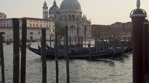 Camera panning showing gondolas and santa maria della salute basilica Stock Footage 293846902