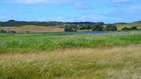 Camera panning in slow motion over green meadows, blue sky Video stock 142215795