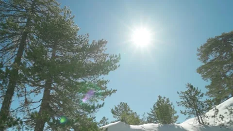 Camera panorama overlooking mountain trees with beautiful sun Stock Footage 255783377