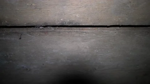 The camera panorama shows the floorboards and the ground Stock Footage 118145288