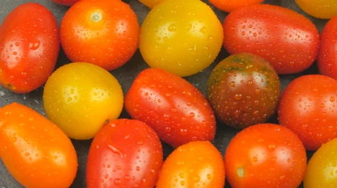 Camera pans across assorted cherry tomatoes with water drops Stock Footage 65728346