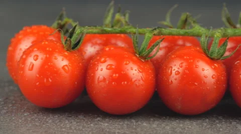 Camera pans across cherry tomatoes on the vine with water drops Stock Footage 65728006