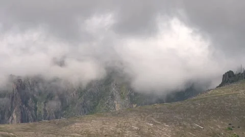 Camera pans across forest destroyed by Mt. St. Helens volcano Stock Footage 8677632