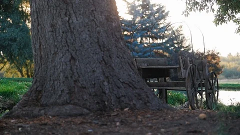Camera pans across old covered wagon during sunrise Stock Footage 102670582