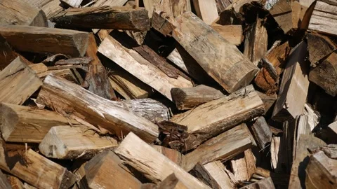 Camera pans across a pile of Logs Stock Footage 308836127