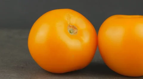 Camera pans across yellow tomatoes Stock Footage 65727730