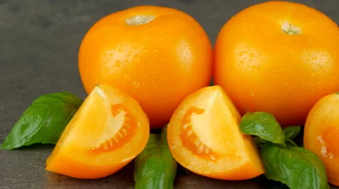 Camera pans across yellow tomatoes and basil with water drops Stock Footage 65728090