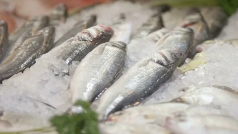 Camera pans along fish on ice in a fish mongers shop Stock Footage 85279351