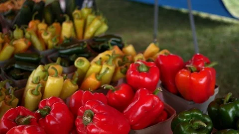 Camera pans along table of hot spicy peppers at a fruit stand Stock Footage 79370074