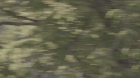 The camera pans and stops on an old stone clock, French castle. Stock Footage 135399158