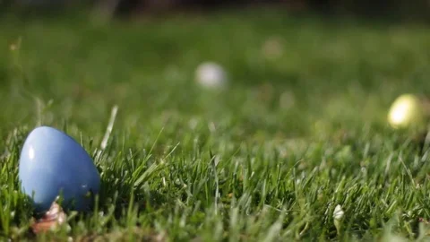 Camera pans to blue vibrant easter egg with others in background in sunny field Video stock 74568458