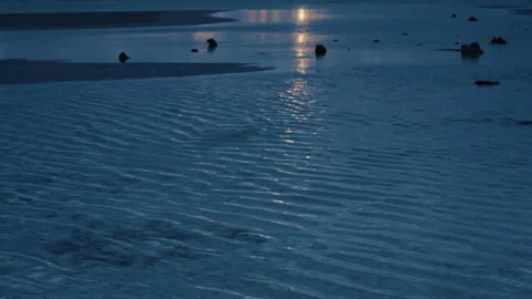 Camera pans from bottom to top of the crystal clear water and sandy beach to a Stock Footage 248689288