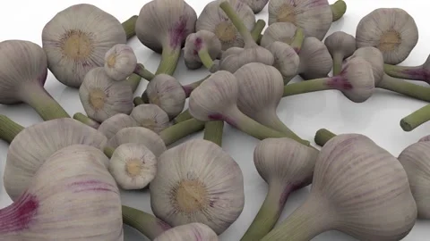 The camera pans in close-up to the heads of garlic and zooms in close, so that Video stock 155043072