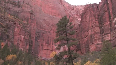 Camera pans down revealing the tall vertical walls of Zion National Park 스톡 동영상 55738705