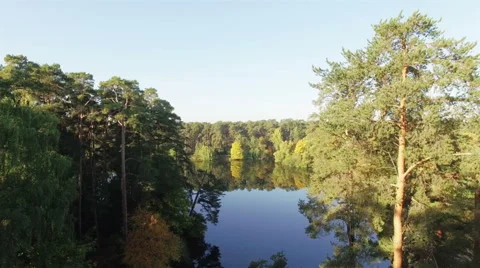 The camera pans down the trees in a forest on the lake Stock Footage 56588046