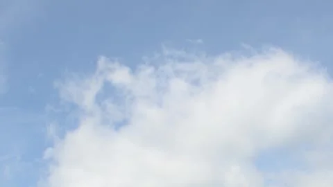 Camera Pans from Edge of Forest to the Sky Stock-Footage 325263126