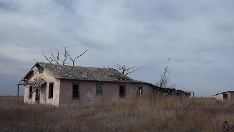 Camera pans from extruding tree limbs to reveal an abondoned farn house, 4K. Stock Footage 318304265