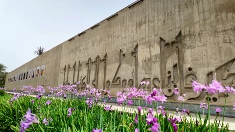 Camera pans memory wall in Agadir showing carved calligraphy. Stock Footage 345511105